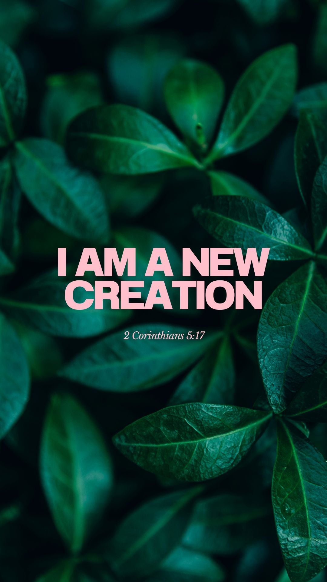 Text 'I AM A NEW CREATION' with reference to 2 Corinthians 5:17 on a green leafy background