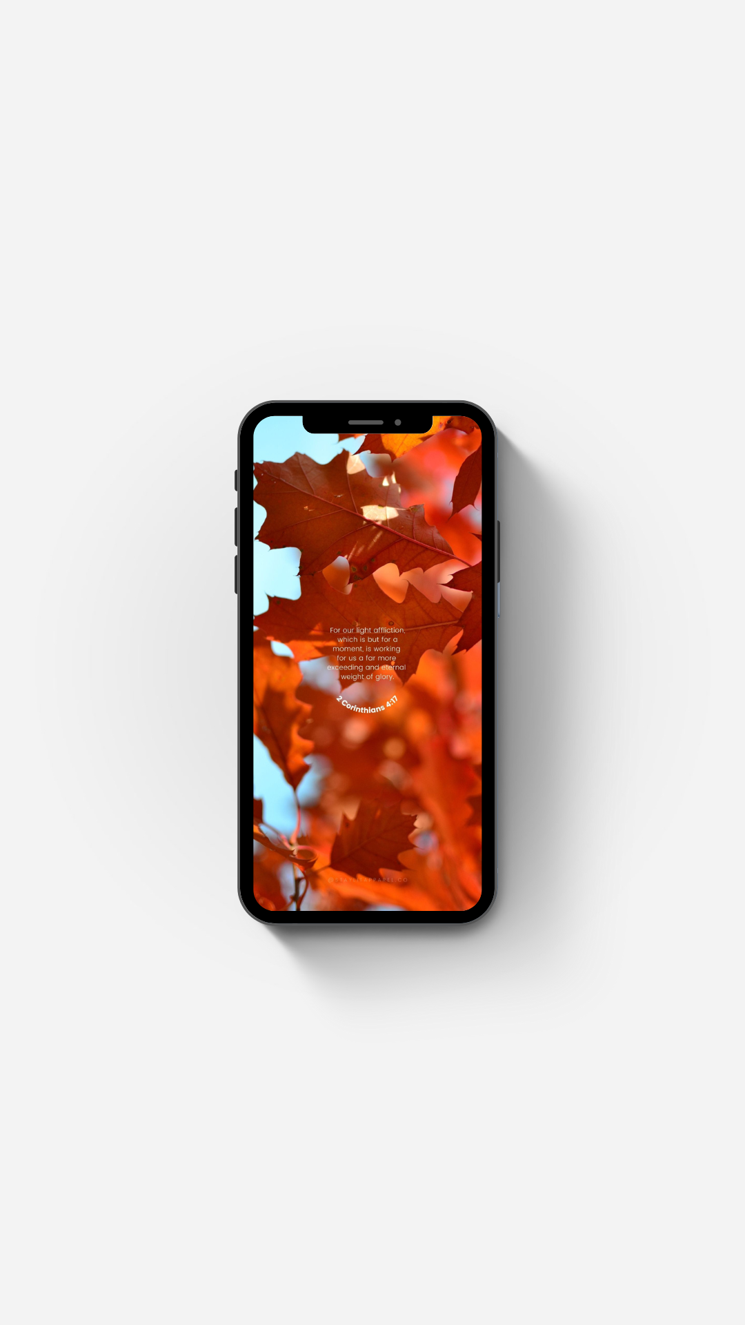 Autumn leaves with Bible Verse Wallpaper by Stay Lit Apparel