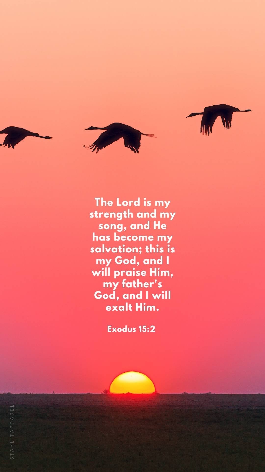 Exodus 15:2 Bible verse with flying birds at sunset, part of 16 Bible Verses About God's Mighty Power | Free Download digital scripture wallpapers.
