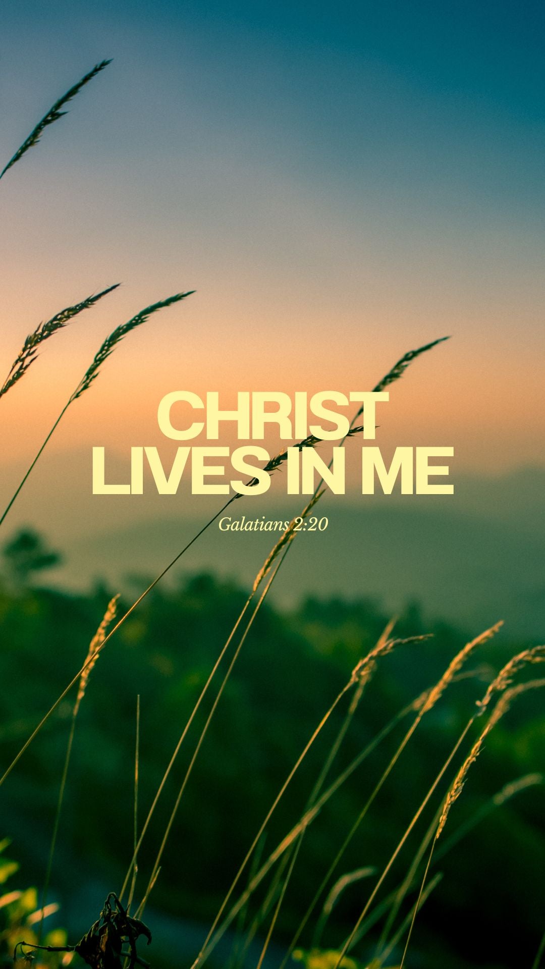 Sunset with tall grass and 'Christ Lives in Me' text