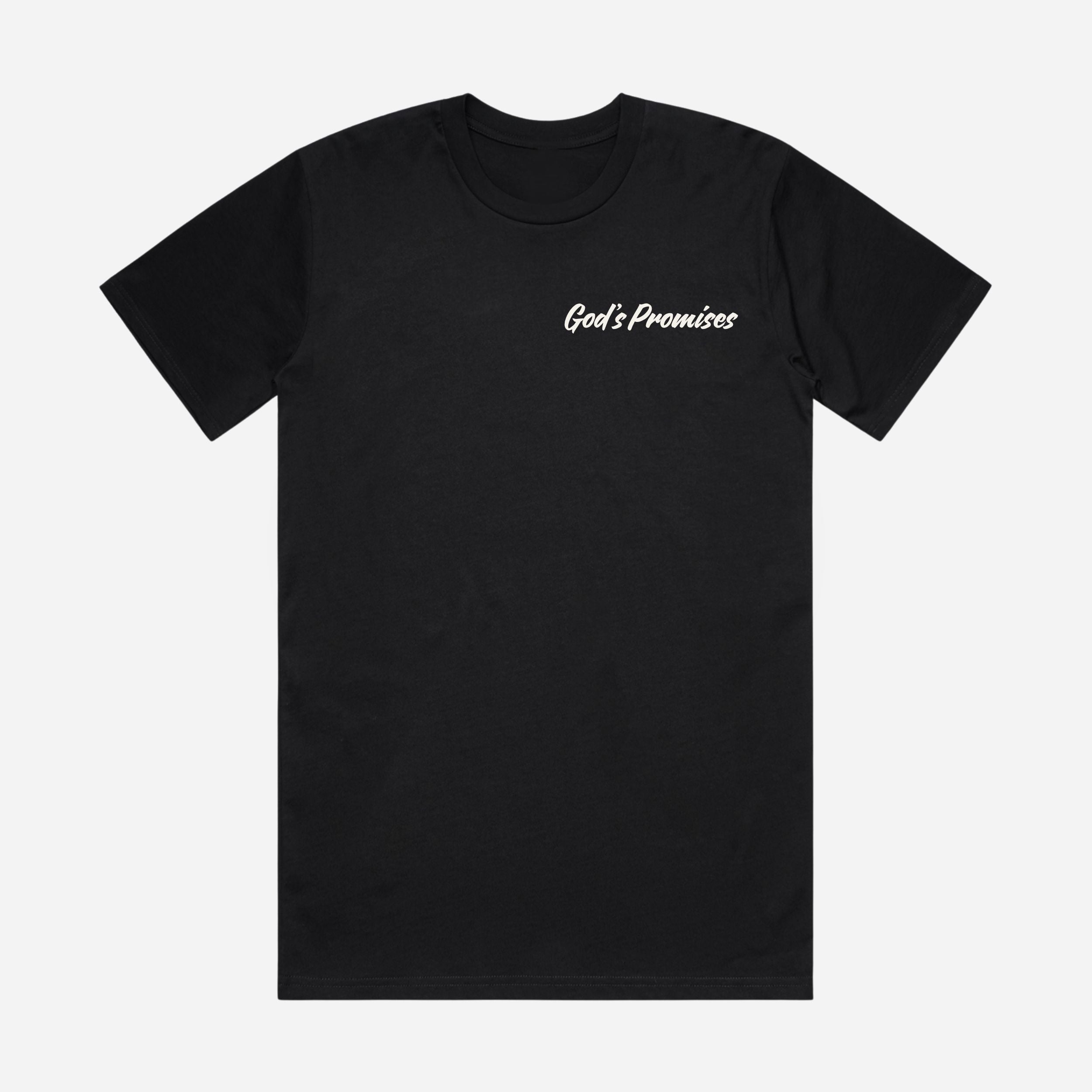 God's Promises Heavyweight T-shirt