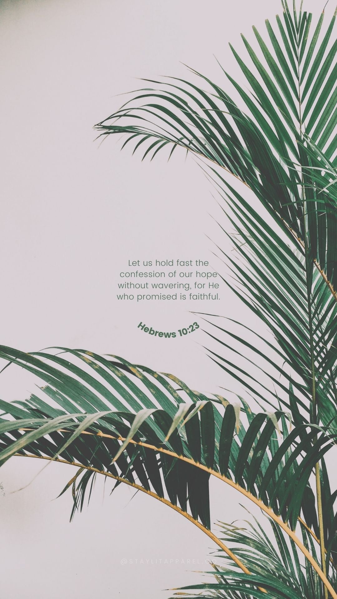 Palm leaves with a biblical verse on a light background