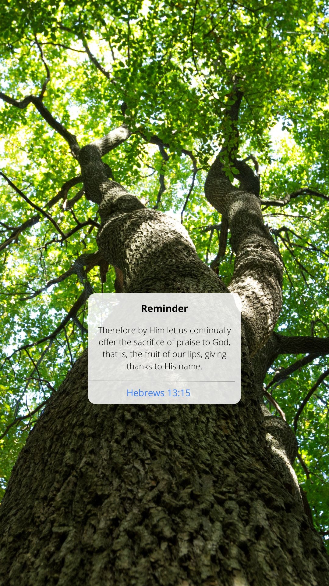 Tree with a text overlay on a green background