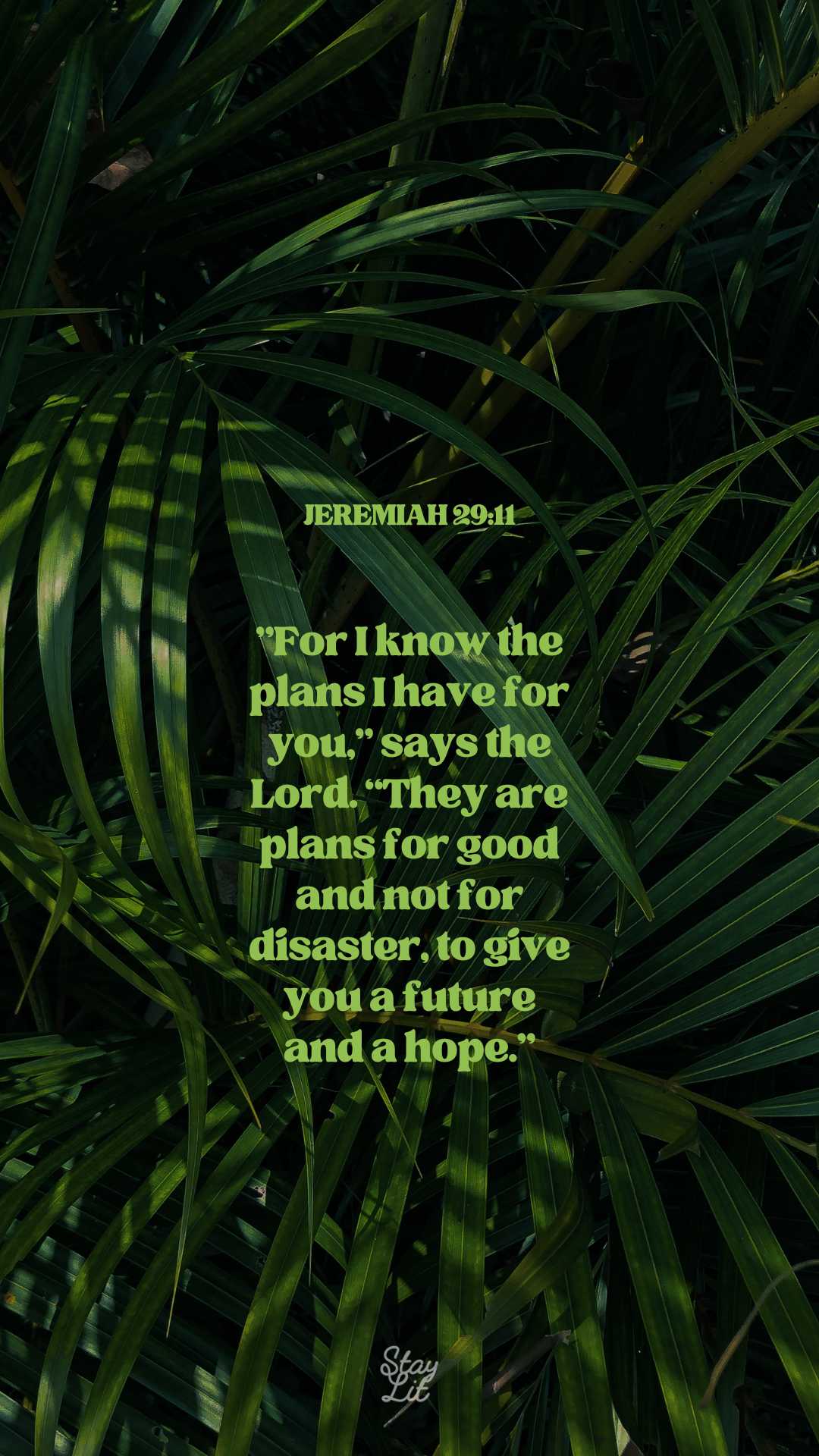 Green text of Jeremiah 29:11 on a dark green leafy background