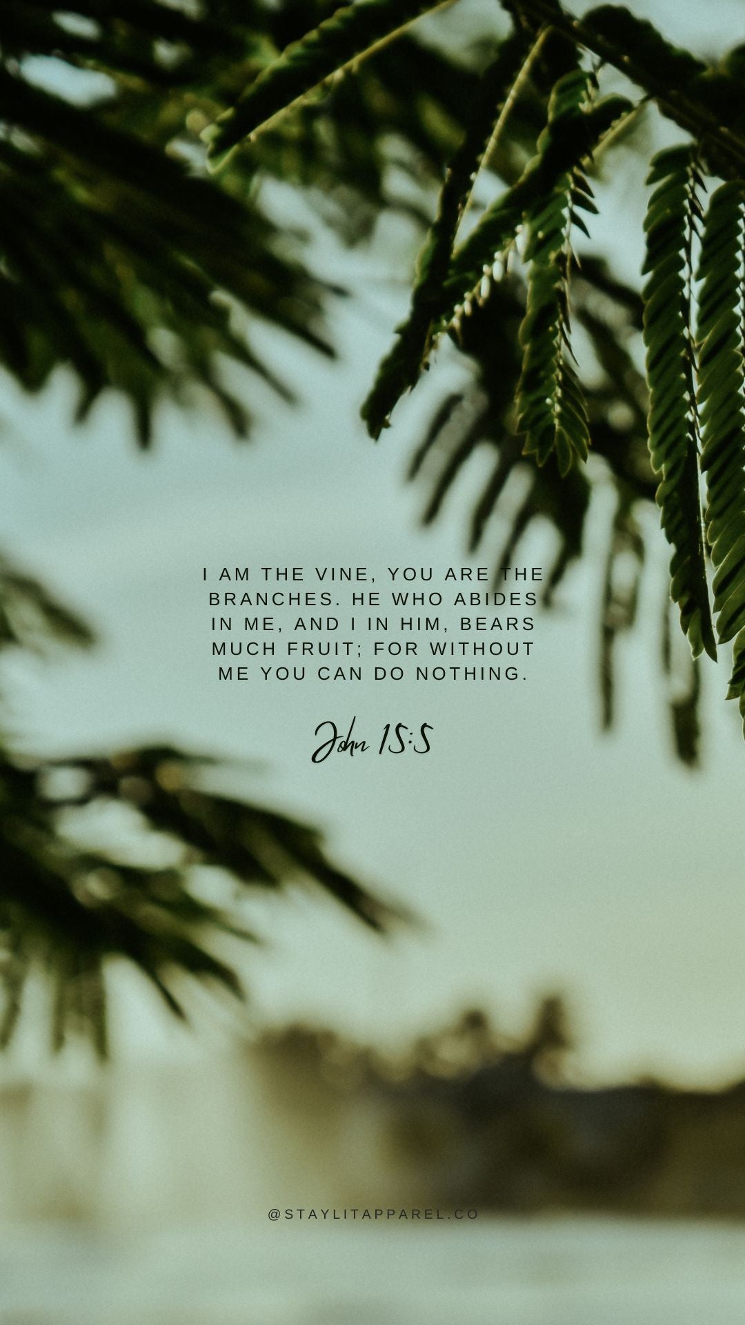 Nature scene with green leaves and a blurred background, featuring a Bible verse quote.