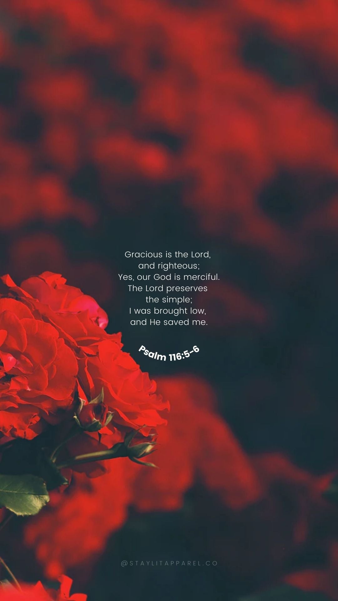Red flowers with a dark background and a biblical quote in white text.
