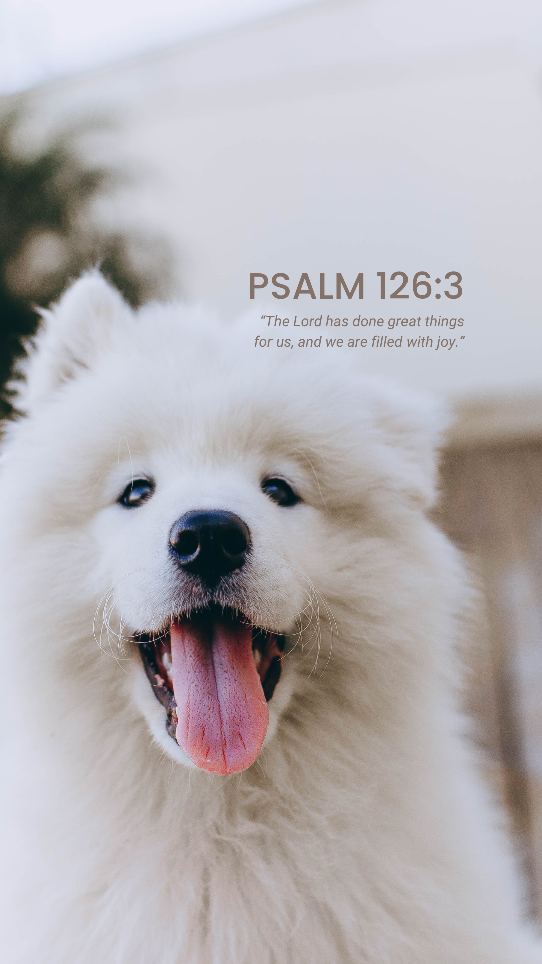 Psalms for Every Season of Life