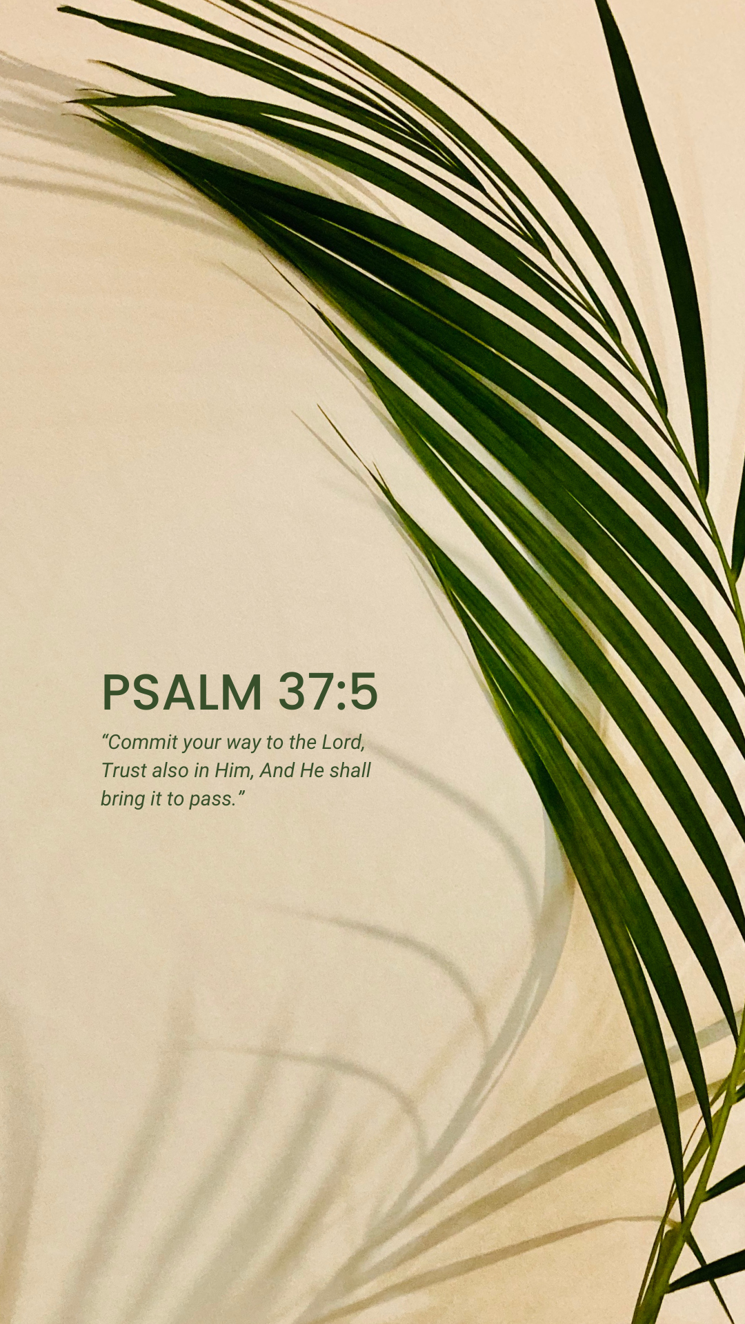 Psalms for Every Season of Life