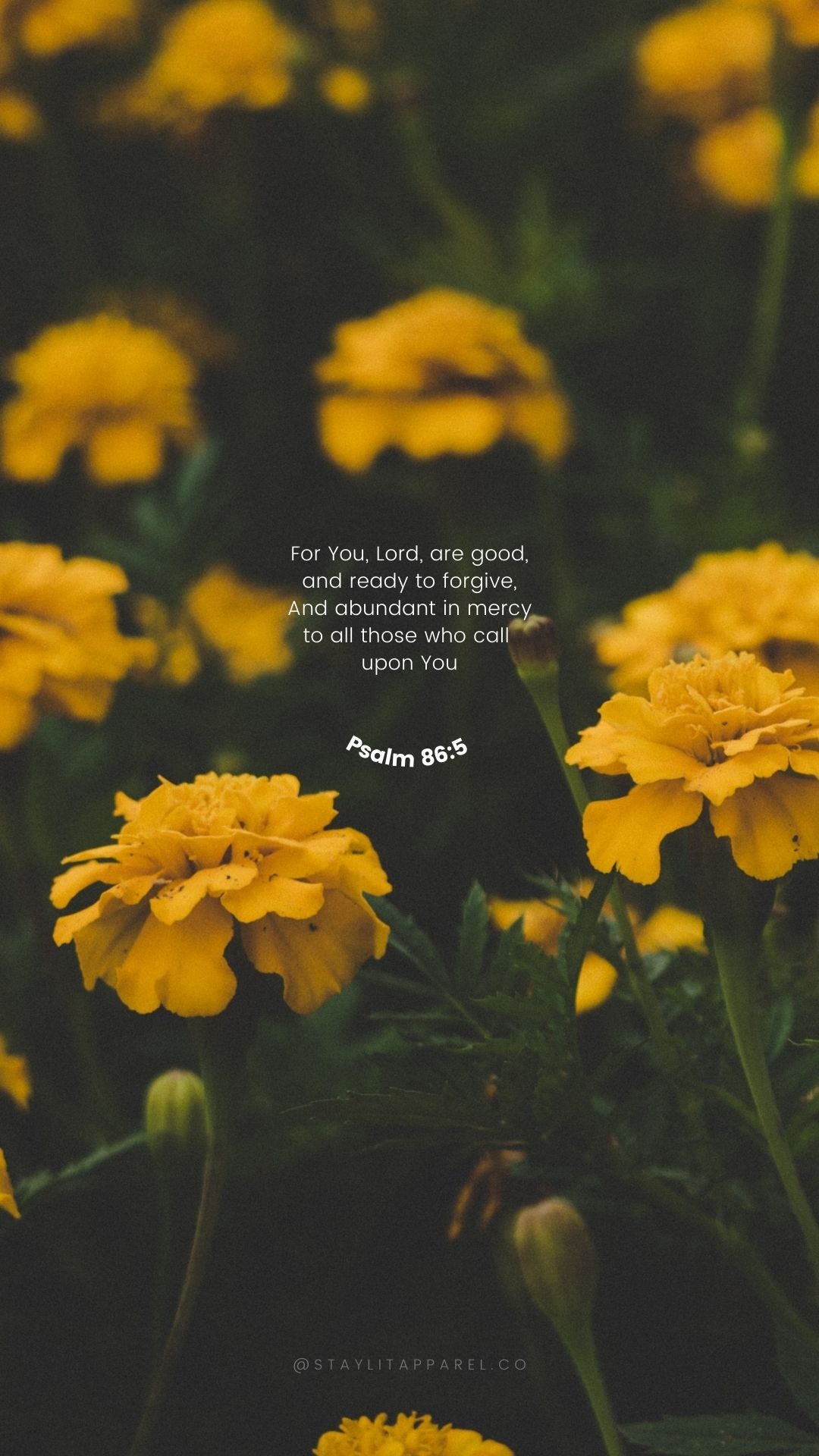 Yellow flowers with a Bible verse overlay on a dark background