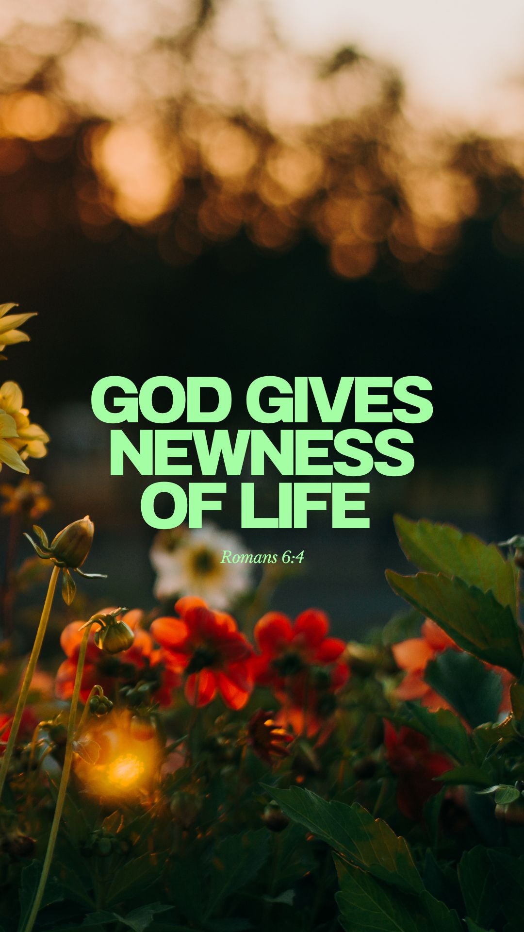 Nature scene with flowers and text 'God gives newness of life' on a blurred background